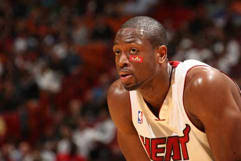 灰熊的对决 灰熊的对决